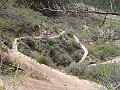 Mille8c 148